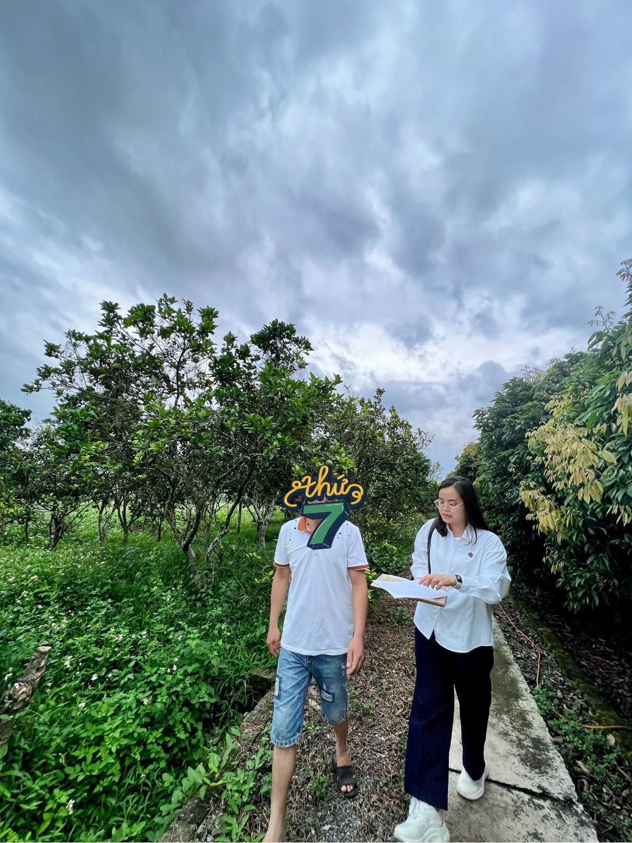 Luật sư Y&P hỗ trợ khách hàng trong quá trình làm thủ tục cấp bìa đỏ lần đầu Luật sư Y&P hỗ trợ khách hàng trong quá trình làm thủ tục cấp bìa đỏ lần đầu