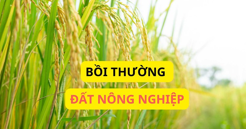 Bồi thường đất nông nghiệp là gì?