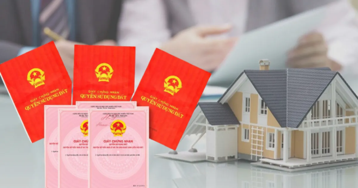 Dịch vụ chuyển nhượng quyền sử dụng đất