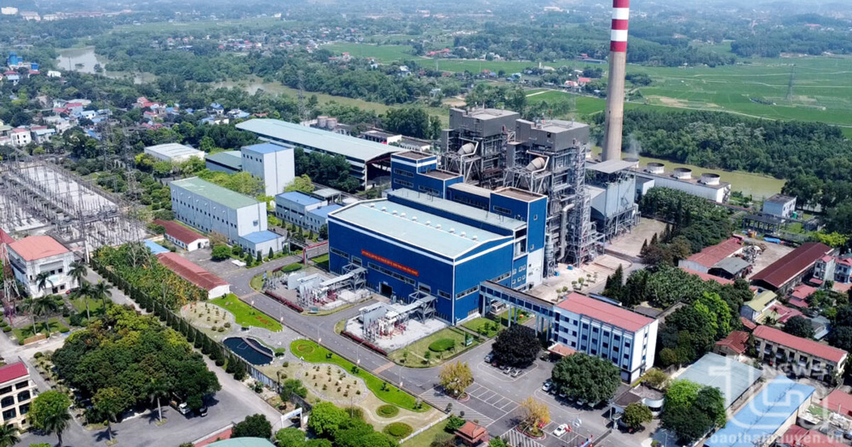 Dịch vụ thành lập doanh nghiệp