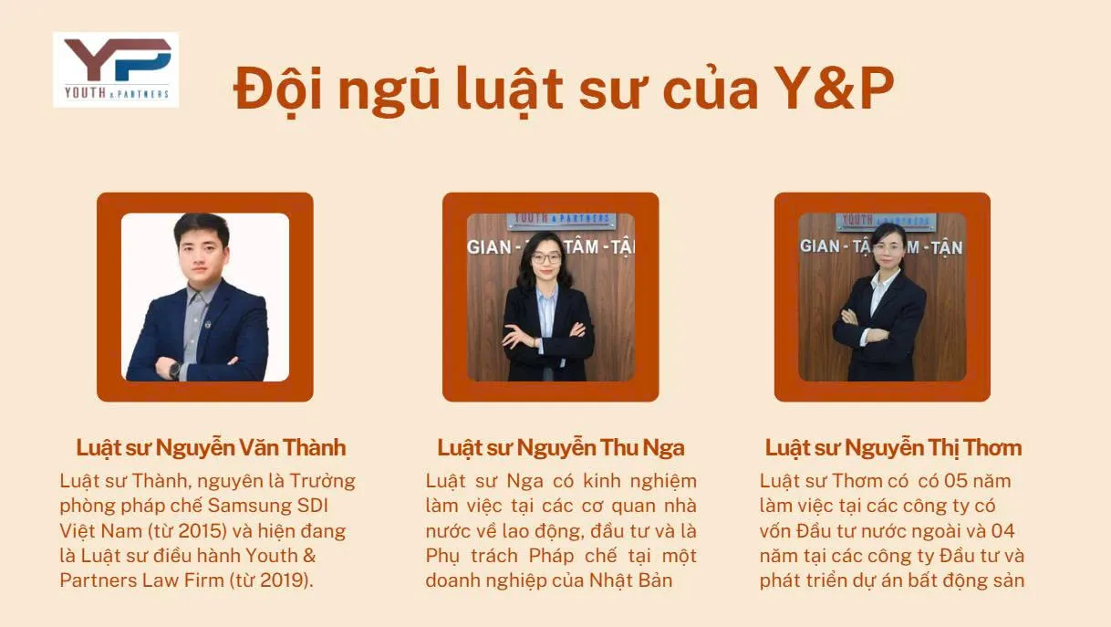 Đội ngũ luật sư thành lập hộ kinh doanh của YP