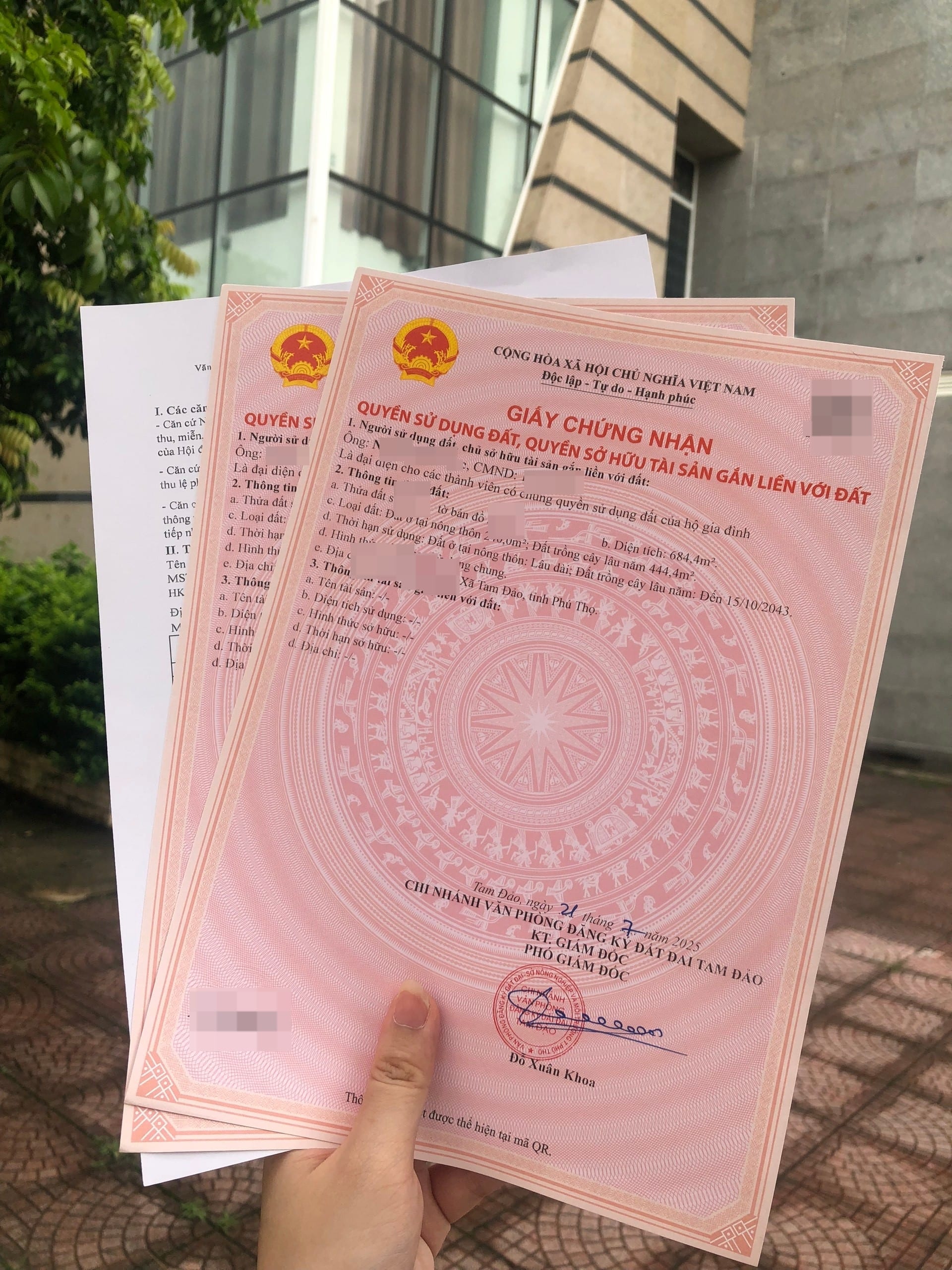 Kết quả tách thửa ở xã Tam Đảo tỉnh Phú Thọ