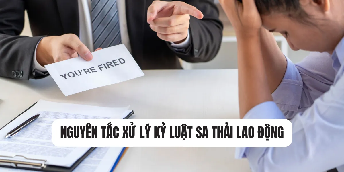 Nguyên tắc xử lý kỷ luật sa thải lao động Nguyên tắc xử lý kỷ luật sa thải lao động