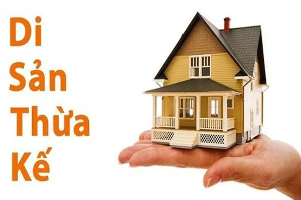 Phân chia di sản thừa kế theo di chúc