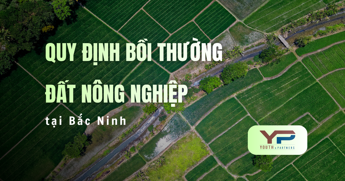 Cập nhật quy định bồi thường đất nông nghiệp tại Bắc Ninh mới nhất. Hướng dẫn tính giá đền bù, các khoản hỗ trợ và điều kiện nhận bồi thường chuẩn pháp lý