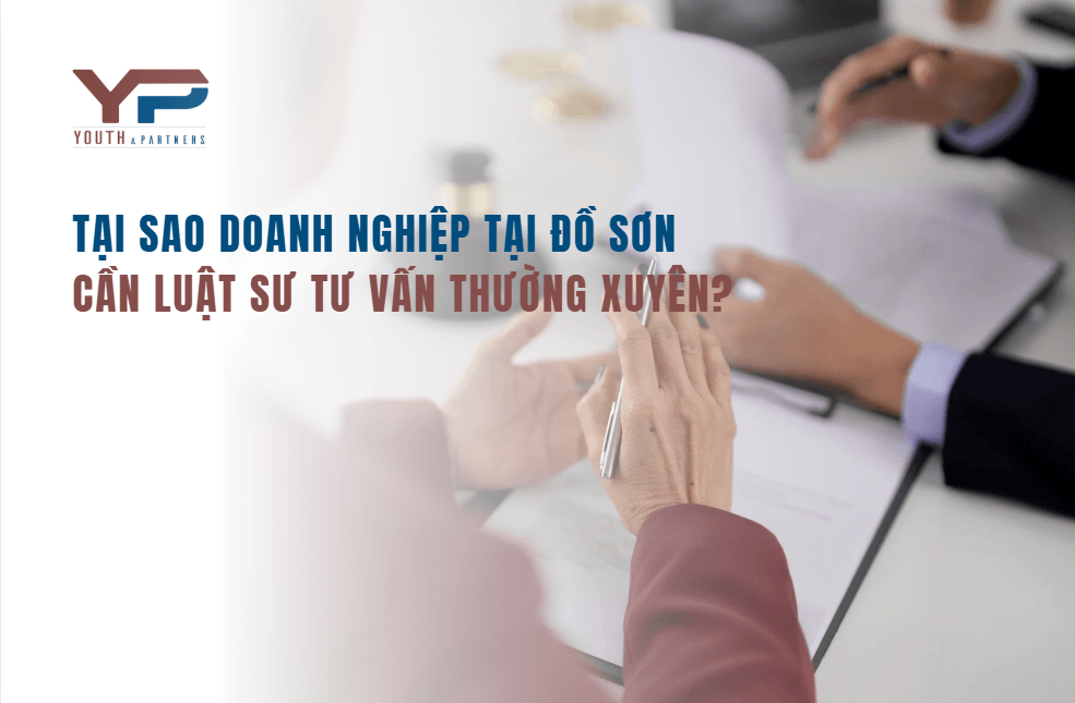 Tại sao doanh nghiệp tại Đồ Sơn cần tư vấn thường xuyên