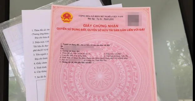 Y&P Lawfirm tư vấn quy trình giải quyết tranh chấp đất đai