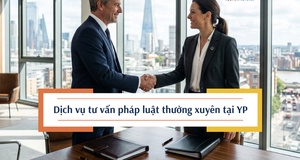 Dịch vụ tư vấn pháp luật thường xuyên trọn gói tại Y&P