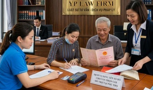 Dịch vụ sang tên sổ đỏ cho con trọn gói tại Phú Thọ