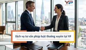 Dịch vụ tư vấn pháp luật thường xuyên trọn gói tại Y&P