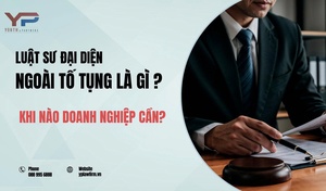 Luật sư Hưng Yên đại diện ngoài tố tụng là gì? Khi nào doanh nghiệp cần?