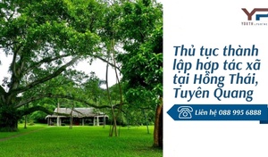 Thủ tục thành lập hợp tác xã tại Hồng Thái, Tuyên Quang