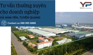 Tư vấn thường xuyên cho doanh nghiệp xã Hàm Yên, Tuyên Quang
