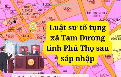 Luật sư tố tụng xã Tam Dương tỉnh Phú Thọ sau sáp nhập