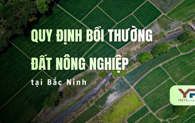 Quy định bồi thường đất nông nghiệp tại Bắc Ninh mới nhất