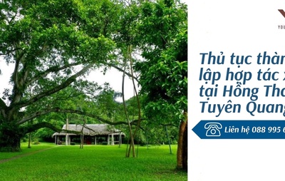 Thủ tục thành lập hợp tác xã tại Hồng Thái, Tuyên Quang