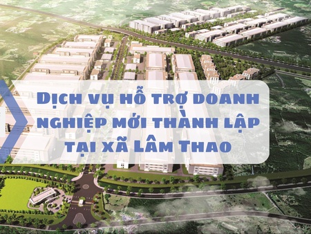 Dịch vụ hỗ trợ doanh nghiệp mới thành lập tại xã Lâm Thao