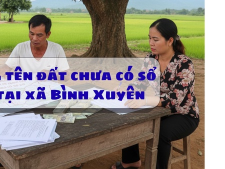 Hỗ trợ thủ tục sang tên đất chưa có sổ đỏ tại xã Bình Xuyên