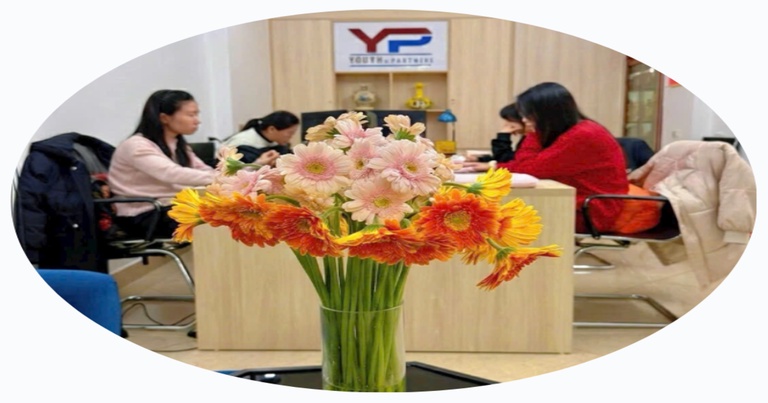 YP Lawfirm - một trong những văn phòng luật sư tư vấn pháp lý Ninh Bình